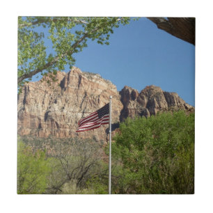 Amerikanische Flagge im Zion National Park II Fliese