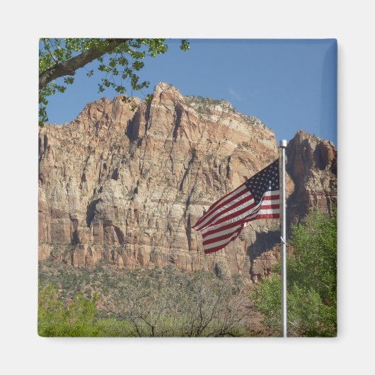 Amerikanische Flagge im Zion-Nationalpark I Magnet (Vorne)