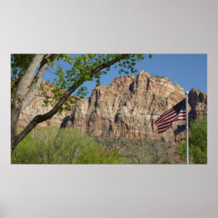 Amerikanische Flagge im Zion-Nationalpark I Poster