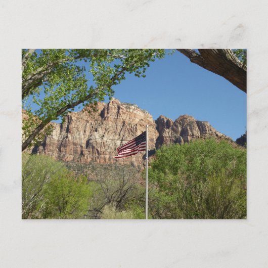 Amerikanische Flagge im Zion-Nationalpark II Postkarte (Vorderseite)