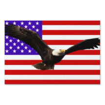 Amerikanische Flagge mit Adler USA