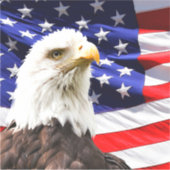 Amerikanische Flagge mit Bald Eagle Aufkleber (Vorderseite)