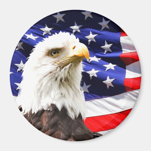Amerikanische Flagge mit Bald Eagle Magnet (Vorne)