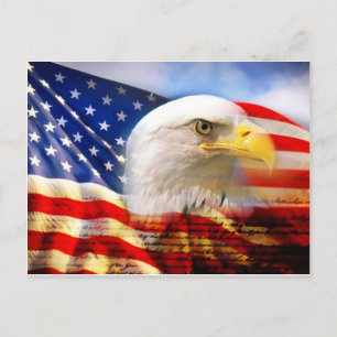 Amerikanische Flagge mit Bald Eagle Postkarte