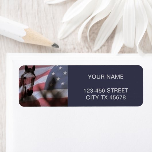 Amerikanische Flagge mit Wildpferd (Insitu)