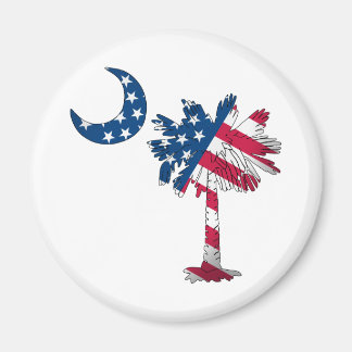 Amerikanische Flagge Palmetto Magnet