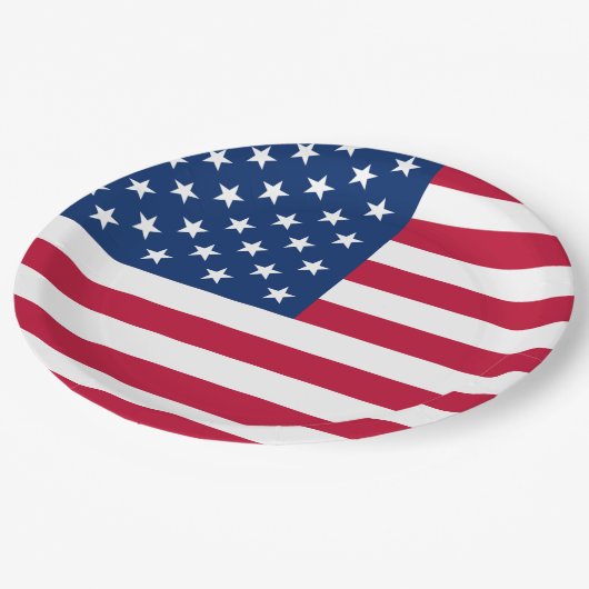 Amerikanische Flagge Pappteller (Schrägansicht)