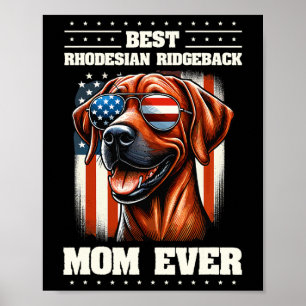 Amerikanische Flagge Rhodesian Ridgeback 4. Juli Poster