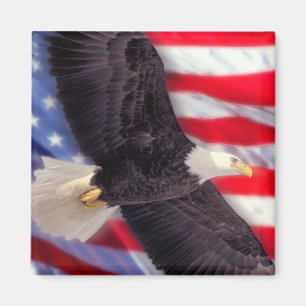 Amerikanische Flagge u. Eagle-Magnet Magnet
