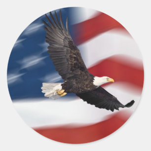 Amerikanische Flagge und Adler Runder Aufkleber