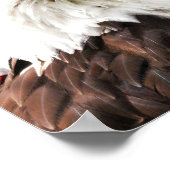 Amerikanische Flagge und Bald-Adler Poster (Ecke)