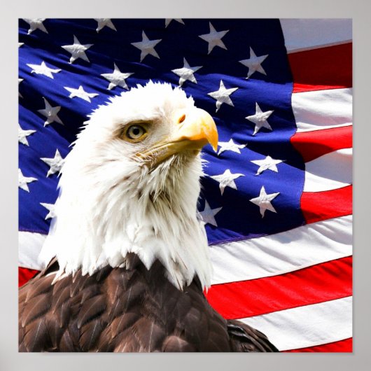 Amerikanische Flagge und Bald-Adler Poster (Vorne)