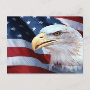 Amerikanische Flagge und Bald-Adler Postkarte