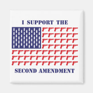Amerikanische Flagge - Zweite Änderung Magnet