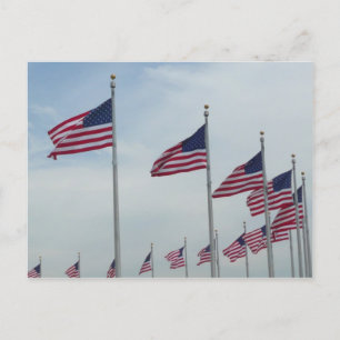Amerikanische Flaggen am Washington Monument Postkarte