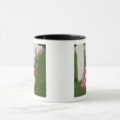 Amerikanische Flaggen auf Gräbern der Tasse (Zentrum)