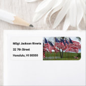 Amerikanische Flaggen und Kreuzungen (Insitu)