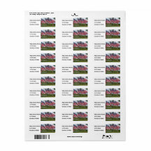 Amerikanische Flaggen und Kreuzungen