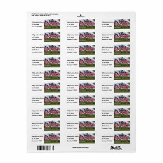 Amerikanische Flaggen und Kreuzungen