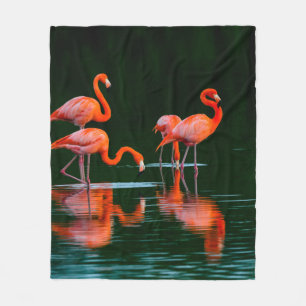 Amerikanische Flamingos mit Reflections Restand Fo Fleecedecke
