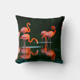 Amerikanische Flamingos mit Reflections Restand Fo Kissen