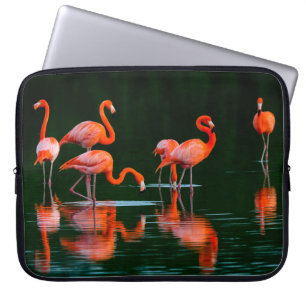 Amerikanische Flamingos mit Reflections Restand Fo Laptopschutzhülle