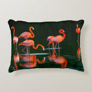 Amerikanische Flamingos mit Spiegelungen Ausruhen Dekokissen