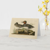 Amerikanische Flügel Aquamarin von Audubons Vogel Karte (Gelbe Blume)