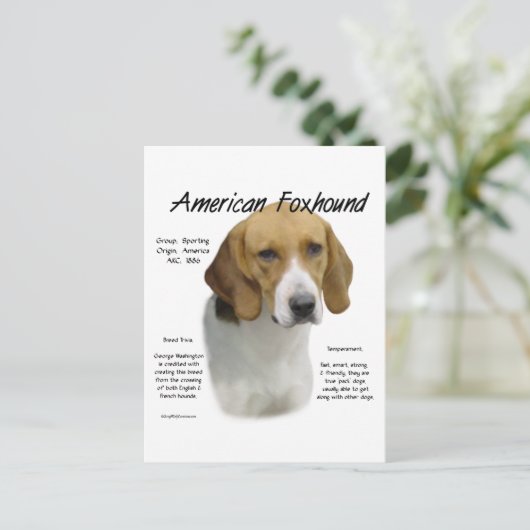 Amerikanische Foxhound-Geschichte, alles rund um F Postkarte (Stehend Vorderseite)