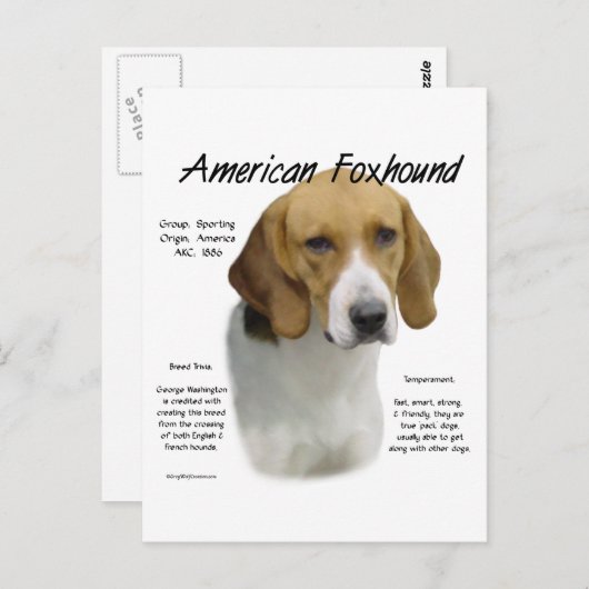 Amerikanische Foxhound-Geschichte, alles rund um F Postkarte (Vorne/Hinten)