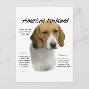 Amerikanische Foxhound-Geschichte, alles rund um F Postkarte