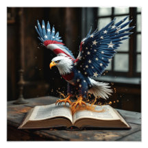 Amerikanische Freiheit enthüllt