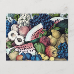 Amerikanische Früchte Vintage-Illustration Postkarte