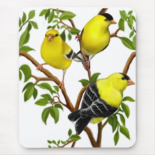 Amerikanische Goldfinches in den Reben Mousepad (Vorne)
