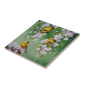 Amerikanische Goldfinken und rosa Apple-Blüten Fliese (Seite)