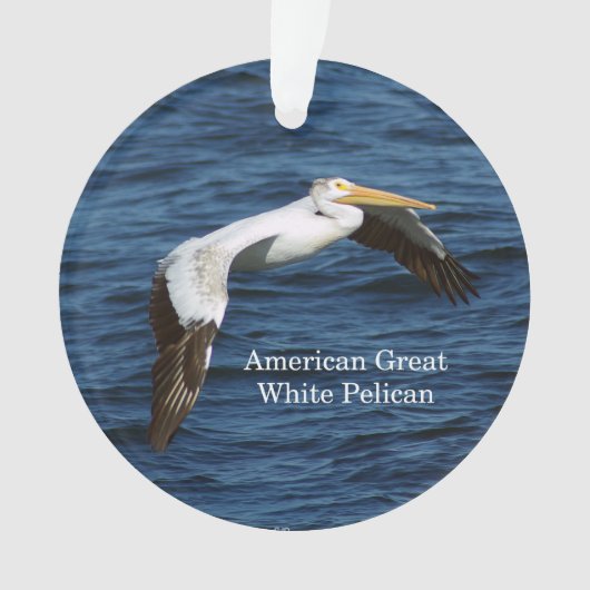 Amerikanische große weißpelikanische Acrylschmuck Ornament (Vorderseite)