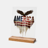 Amerikanische Grunge-Fahne und Adler Acrylschild (Winkel)