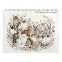 Amerikanische Hauskatzen - Zweiseiten 2027