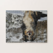 Amerikanische Hirte im Schnee Puzzle (Horizontal)