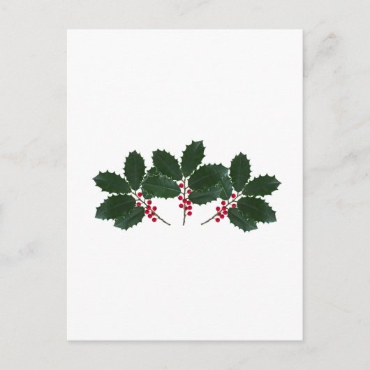 Amerikanische Holly-Blätter - Berries Postkarte (Vorderseite)