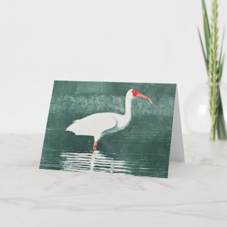 Amerikanische Ibis-Karten mit Falz