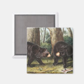 Amerikanische Illustration des schwarzen Bären Urs Magnet (Vorderseite/Rückseite)