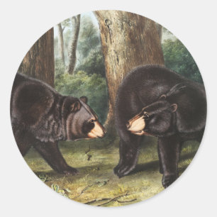 Amerikanische Illustration des schwarzen Bären Urs Runder Aufkleber