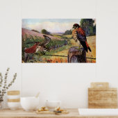 Amerikanische Kestrels auf einem Stacheldraht Poster (Küche)