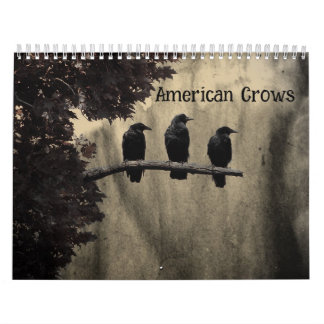 Amerikanische Krähen Kalender