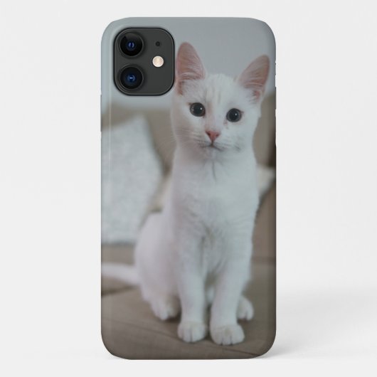 Amerikanische Kurzhaarkatze Case-Mate iPhone Hülle (Rückseite)