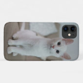 Amerikanische Kurzhaarkatze Case-Mate iPhone Hülle (Rückseite (Horizontal))