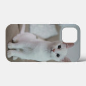 Amerikanische Kurzhaarkatze Case-Mate iPhone Hülle (Rückseite (Horizontal))