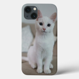 Amerikanische Kurzhaarkatze Case-Mate iPhone Hülle