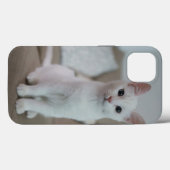 Amerikanische Kurzhaarkatze Case-Mate iPhone Hülle (Rückseite (Horizontal))